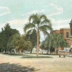 ¿Que sabés sobre el Boulevar Oroño en Rosario?