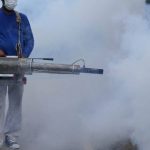 Control de plagas en Mallorca durante pandemia